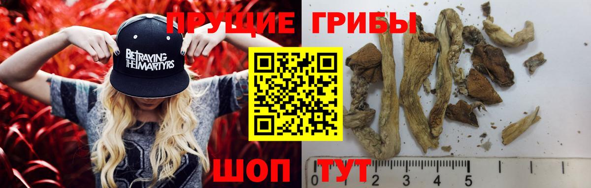 Галлюциногенные грибы ЛСД  Галлюциногенные грибы мухоморы  Ревда  Вход с VPN 